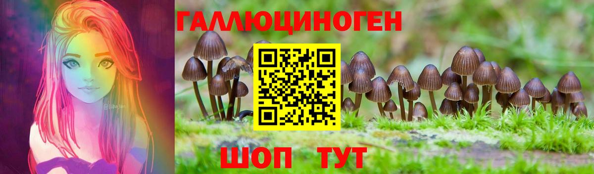 Псилоцибиновые грибы GOLDEN TEACHER  Вход с VPN  Камышин 